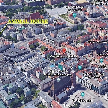 Animal House - StayinWrocław Eksteriør bilde