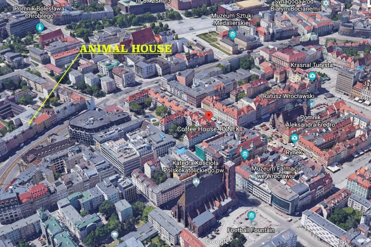 Animal House - StayinWrocław Eksteriør bilde
